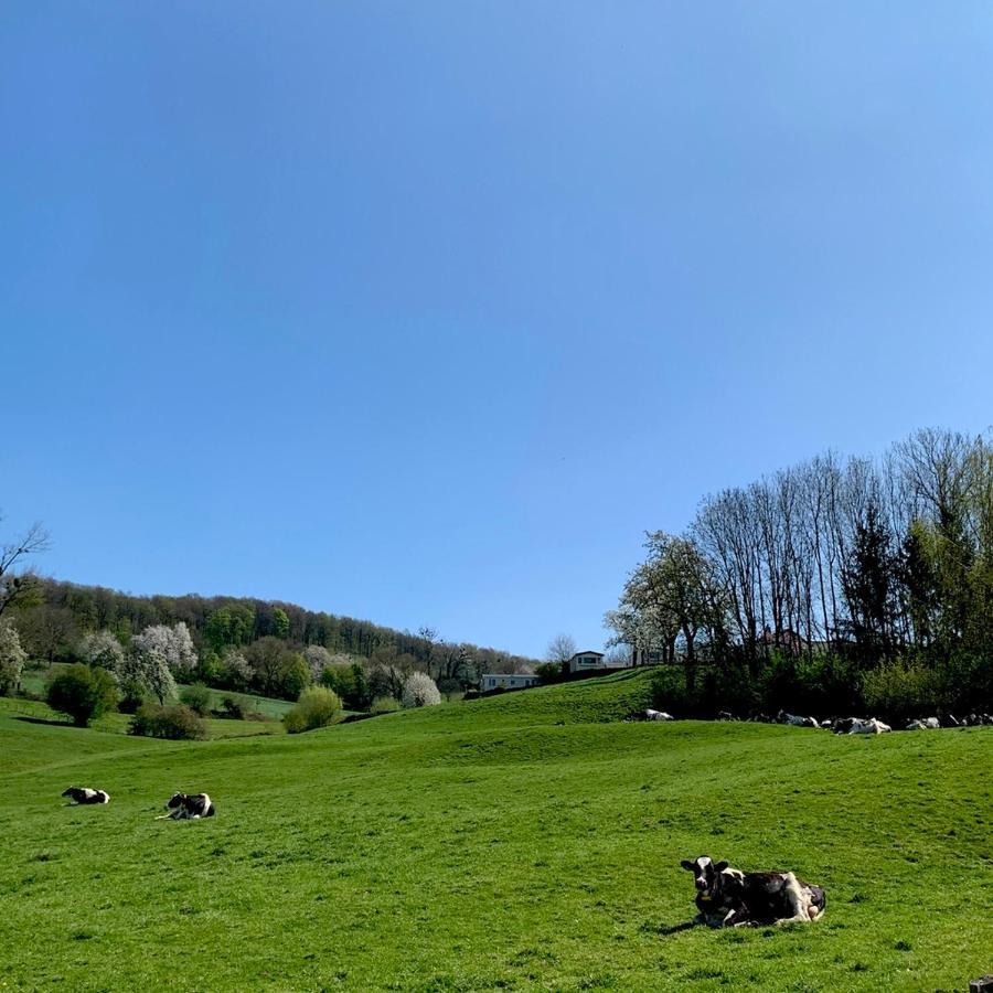 Отель Hoeve Beusdalshof Ingber Экстерьер фото