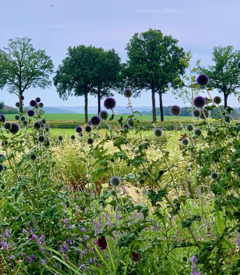 Отель Hoeve Beusdalshof Ingber Экстерьер фото