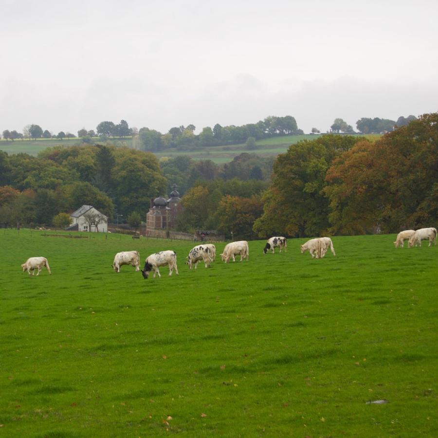 Отель Hoeve Beusdalshof Ingber Экстерьер фото